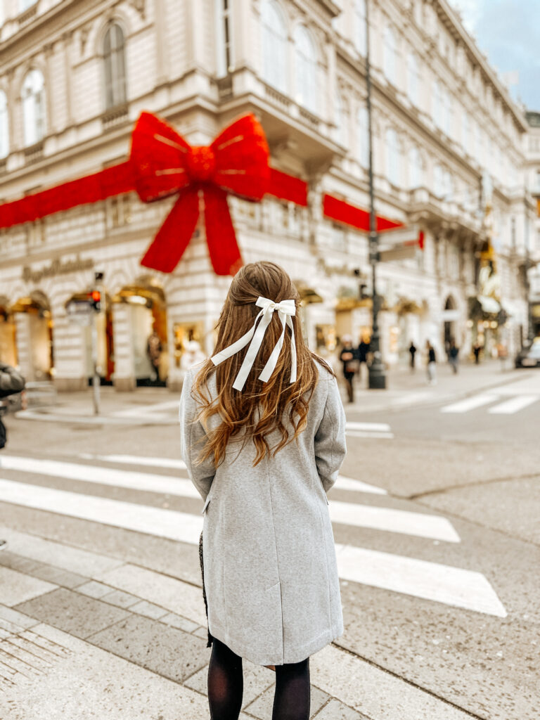 Vienna Best Thing to See – Mini Guide with Map